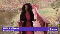 A Buddhist Monk's International Journey To Combat Climate Change News Clip