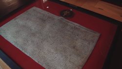 What is Magna Carta? Clause 8 Introduction Instructional Video