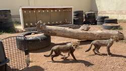 Eco TrailBlazer - Mahesh Bhatt Instructional Video