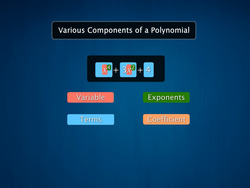 Polynomials: One Variable Instructional Video