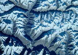 Life in Space Instructional Video