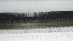 White Threads on a loom in weaving loom machine in textile factory Stock Footage