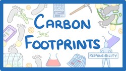 GCSE Chemistry - What is a 'Carbon Footprint'? - How to Reduce Carbon Footprint #69 Instructional Video