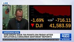 Article: Wall Street tumbles following discouraging updates on US shoppers and inflation News Clip