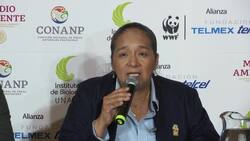 Monarch butterfly arrives in Mexico Instructional Video