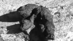 How to Identify Scat Instructional Video