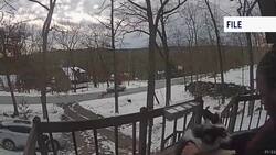 Mid-Hudson Psychiatric state worker pleads guilty to aggravated animal abuse News Clip