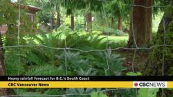 One-day downpour expected along B.C’s South Coast could bring up to 80 millimetres News Clip