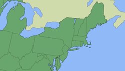 Northeast Native Americans Instructional Video