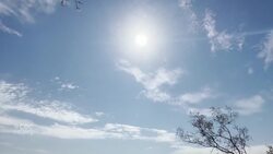 Phoenix, Ariz., sets new heat record, with no relief in sight News Clip