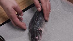 Sea bass with avocado sauce and Salmon rolls with ricotta Instructional Video