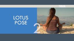 The Basics of Yoga: Exploring Symbols, Poses, and Philosophy Instructional Video