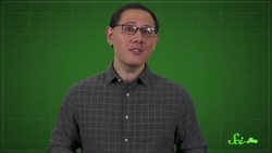 Why Do Bats Carry So Many Dangerous Diseases? Instructional Video