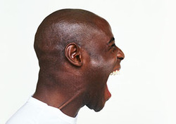 Echo Instructional Video