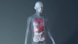 How Do Deep Sea Fish Survive the Extreme Pressure? Instructional Video