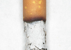 ¿Qué hay en un cigarrillo? Instructional Video