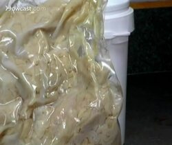 How to Make Fake Intestines Instructional Video