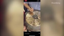 Bang a Gong: Verkada Parties News Clip