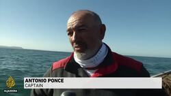 Spain: Seaweed invasion hurting fishermen's livelihoods News Clip