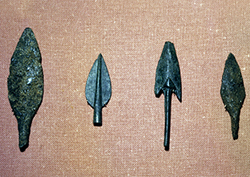 La serie de reactividad Instructional Video