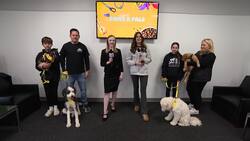 Paws & Pals: 4 dogs up for adoption at Jake’s Rescue Ranch News Clip