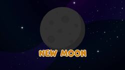 I WONDER - What Are The Phases Of The Moon? Instructional Video