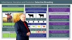 Selective Breeding: Process and Outcomes Instructional Video