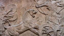 What Hellhounds Reveal about Humans' Oldest Companion Instructional Video