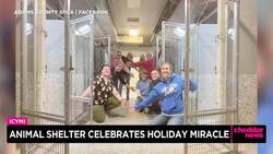 Animal Shelter Celebrates Holiday Miracle News Clip