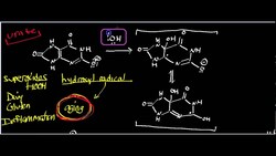 Urate Oxidase and Urate (Part 3): Why Do Humans and Other Apes Live Longer? Instructional Video