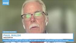 Wildfire Smoke Is Destroying Cities' Air Quality News Clip