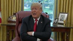 Trump praises Haley, says she'll make money' Instructional Video