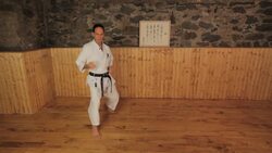 How to Do a Jab Punch in Karate Instructional Video