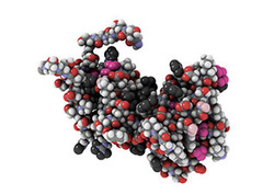 Protein Instructional Video