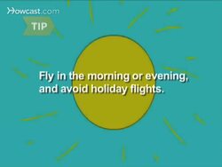 How to Travel by Air with a Pet Instructional Video