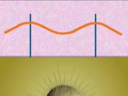 Light: Electromagnetic Spectrum Instructional Video