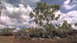 Landscape in the Kimberley Plateau, Western Australia Stock Footage