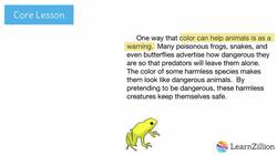 Using Examples to Illustrate Ideas in Writing Instructional Video