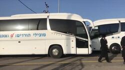 CLEAN : Jewish pilgrims try to leave site of pilgrimage stampede News Clip