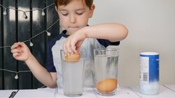 Science Experiment: Saltwater Egg Instructional Video