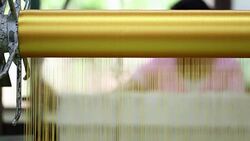 Weaving silk from hand weaving machine and Golden silk in Thailand. Plants in field Stock Footage