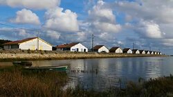 Ares, Gironde, Nouvelle Aquitaine, France Stock Footage