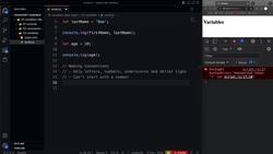 Modern JavaScript from the Beginning - Second Edition - Variables and Constants Instructional Video