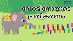 Domino effect - One after the other - Malayalam Instructional Video