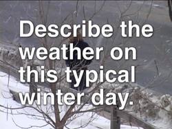 Winter: What Happens in Winter? Instructional Video