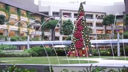 CLEAN : Festive Filipinos trying to save Christmas from coronavirus News Clip