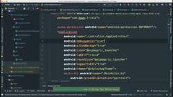 Comprehensive Android Developer Bootcamp - Preparing Our Project for Release Instructional Video