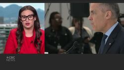 More women intend to vote Liberal than Conservative — by double-digit points, poll suggests News Clip