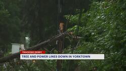 Tropical Depression Debby topples trees on roadways in Yorktown Instructional Video