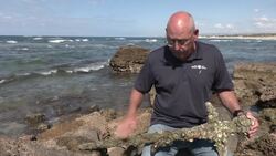 900-year-old Crusader sword found off northern Israel News Clip